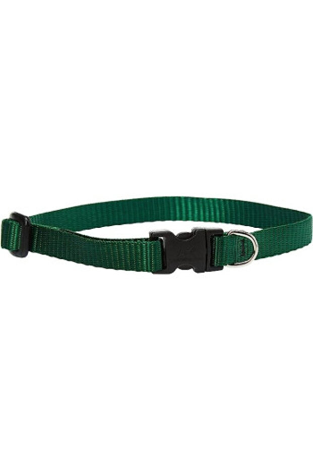 Daytona GA Nylon Dog LeashColor: Orange, Dimension: 15mm x L 200cm