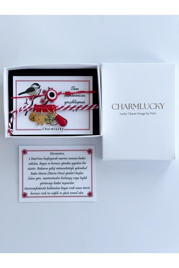 CHARM MARTENİÇKA - 3
