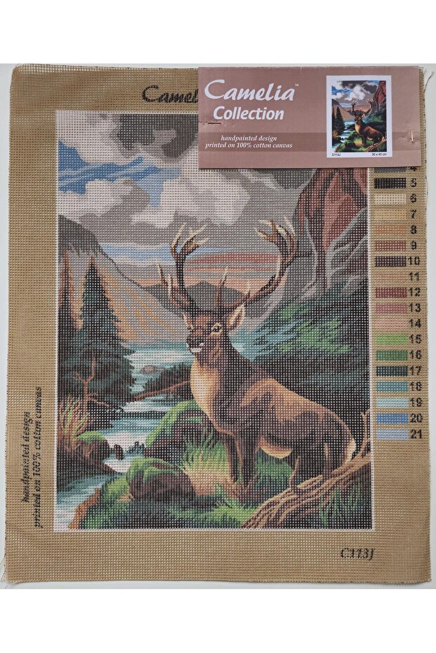 Goblen C113J 30x40 - 1