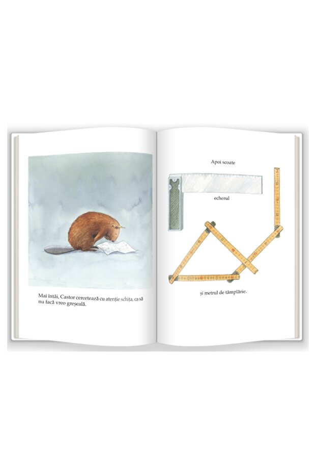 Бобърът е дърводелец / Бобърът - 2