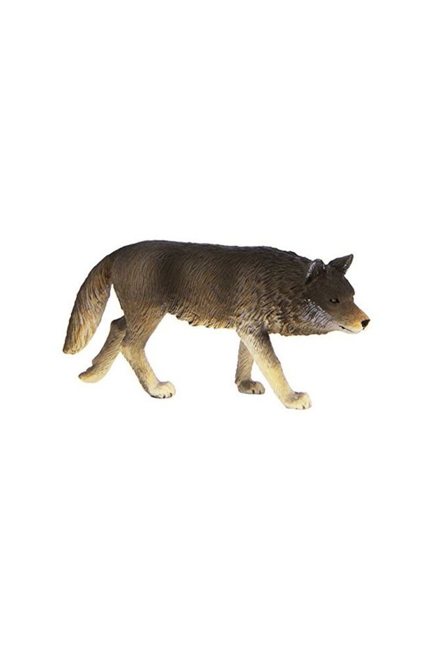 Timber Wolf Walking