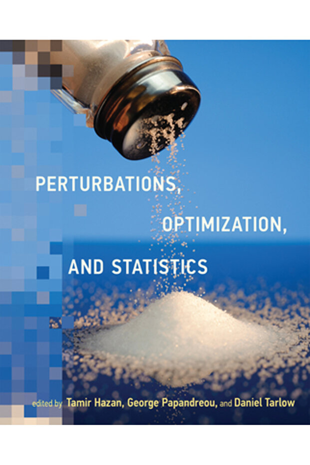 Perturbations Optimization and Statistics - 1