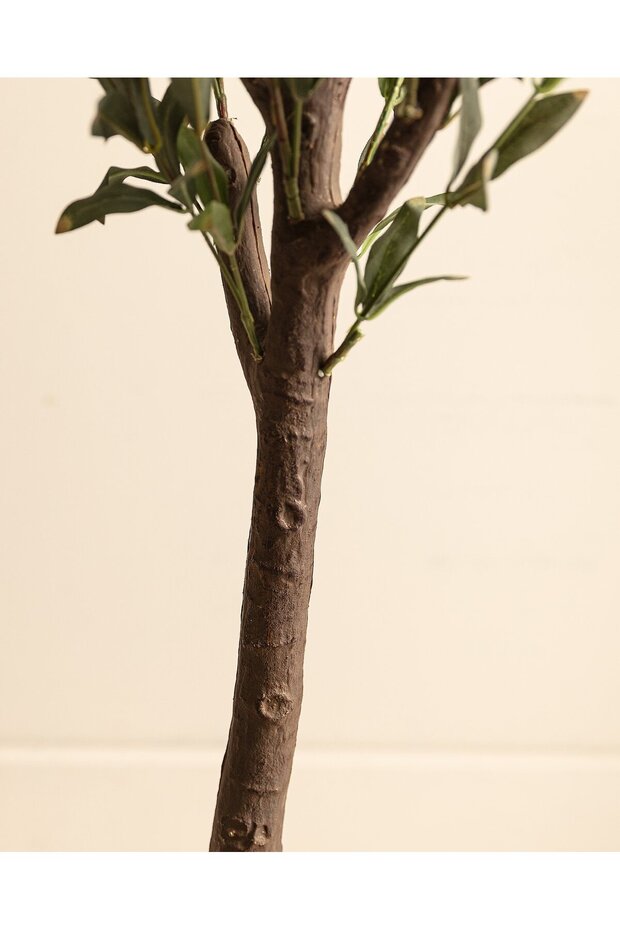 Mabelle Topfblume - 4
