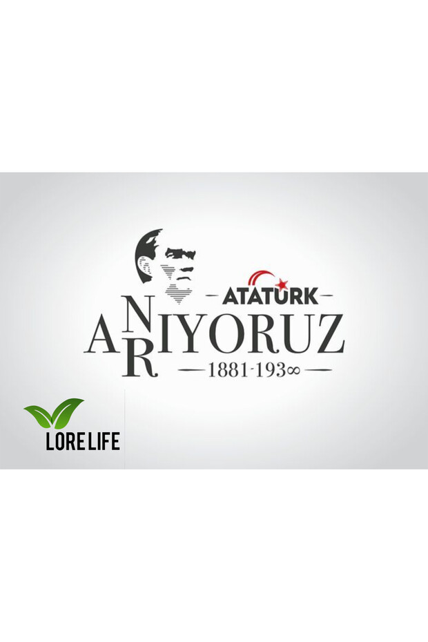 Lore max 60TB & lore slimfit 30kp - 7