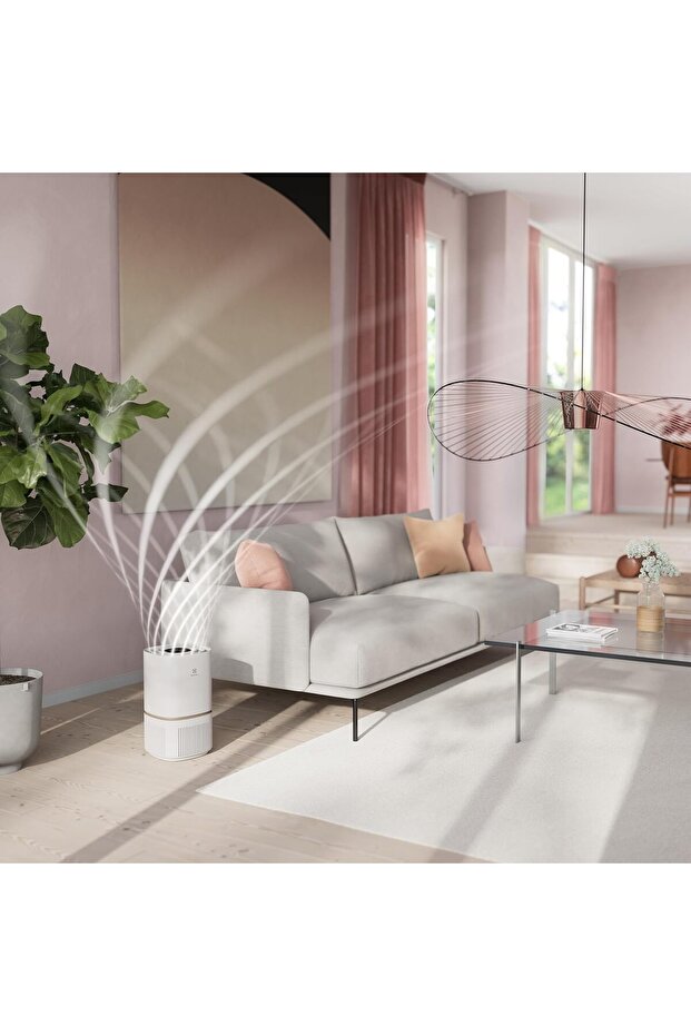 Hava Temizleyici - 3