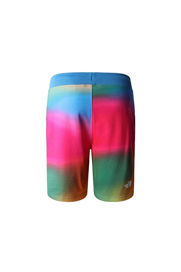 M STANDARD SHORT LIGHT-EU Erkek Şort NF0A3S4EIAX1 Karışık Çok renkli-XXL - 2