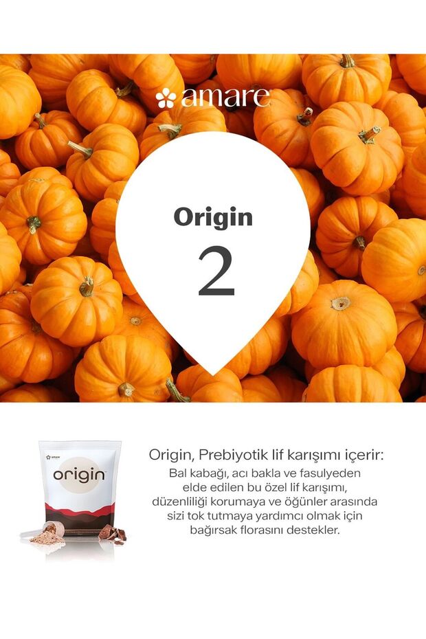 ORİGİN - 3