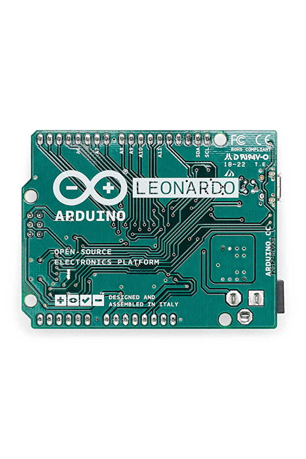 Orijinal Leonardo - 2