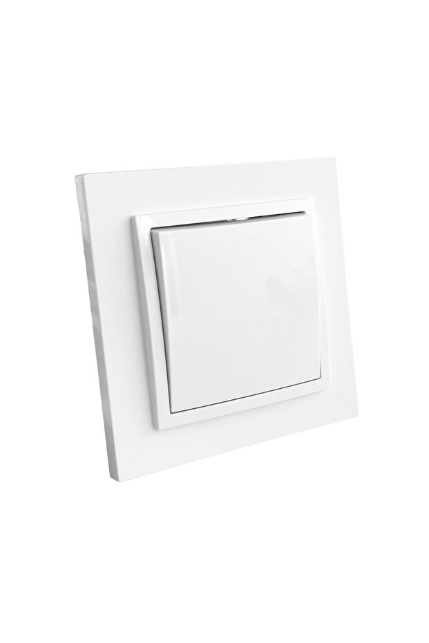 SWITCH 10A TITANIUM WHITE - 2