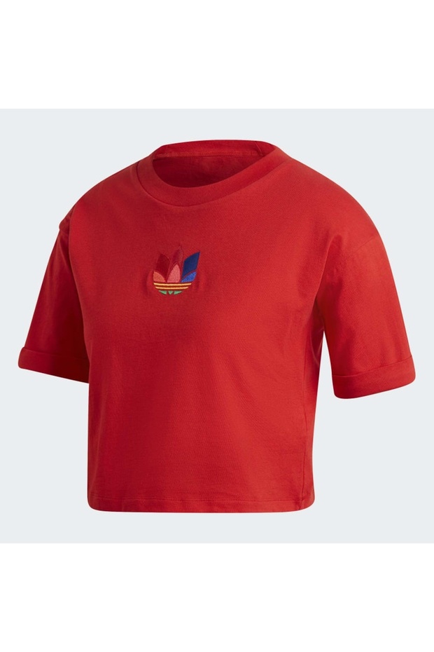 μπλουζάκι - 6