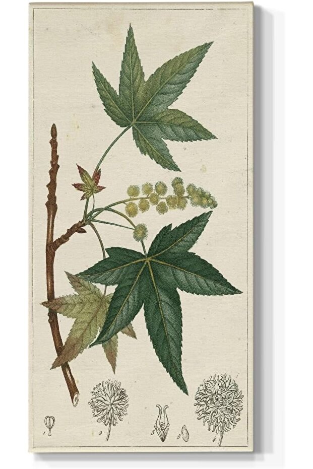 Turpin Green Maple Tree Leaves Wall Art – Abstract Nature Canvas (60x120 cm Framed)