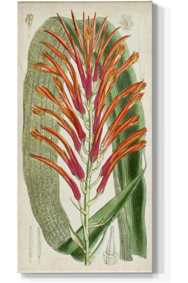 Tropical Green & Red Foliage Wall Art – Canvas Hanging Prints (60x120 cm Framed)
