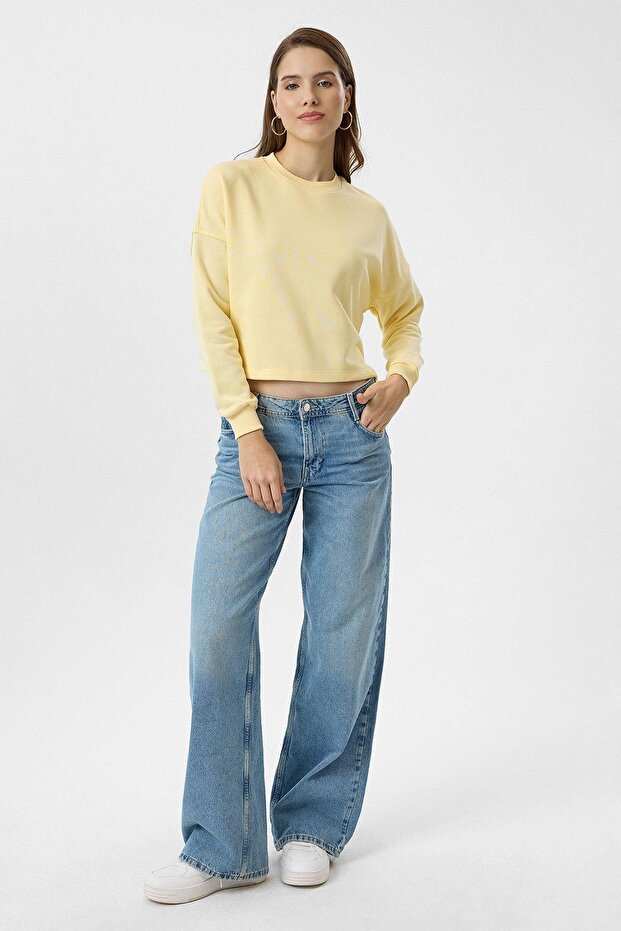 Basic Crop Sweatshirt - 7