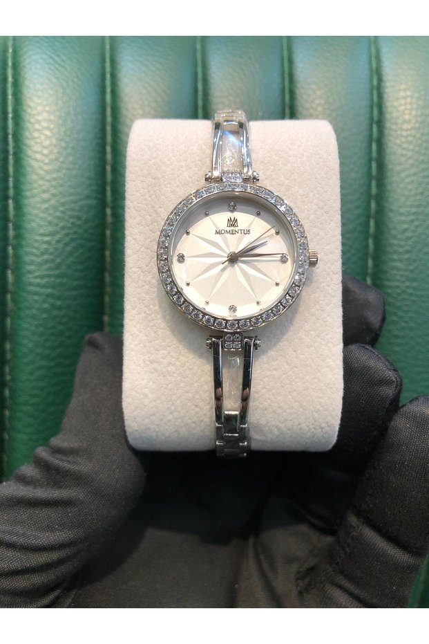 Steel Waterproof Women's Watch with Stone