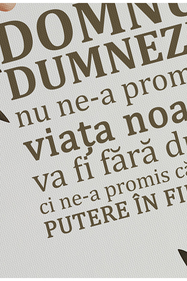Religious Canvas Poster in Romanian Language – Unframed Digital Print on Canvas - Power Every Day - 7