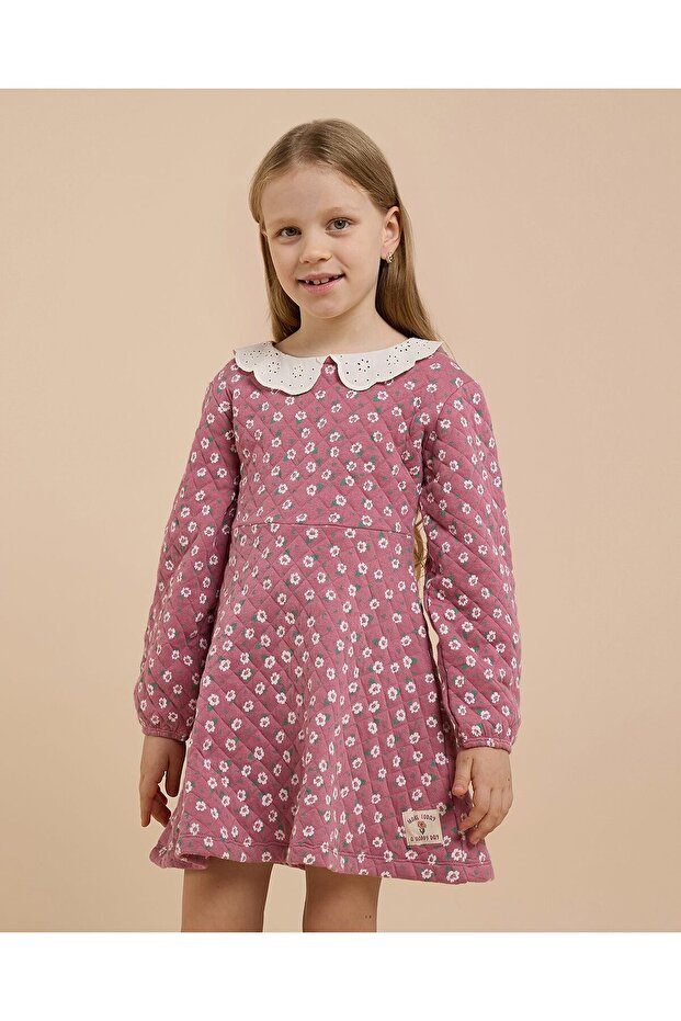 Printed A-Line Dress with Peter Pan Collar and Long Sleeves