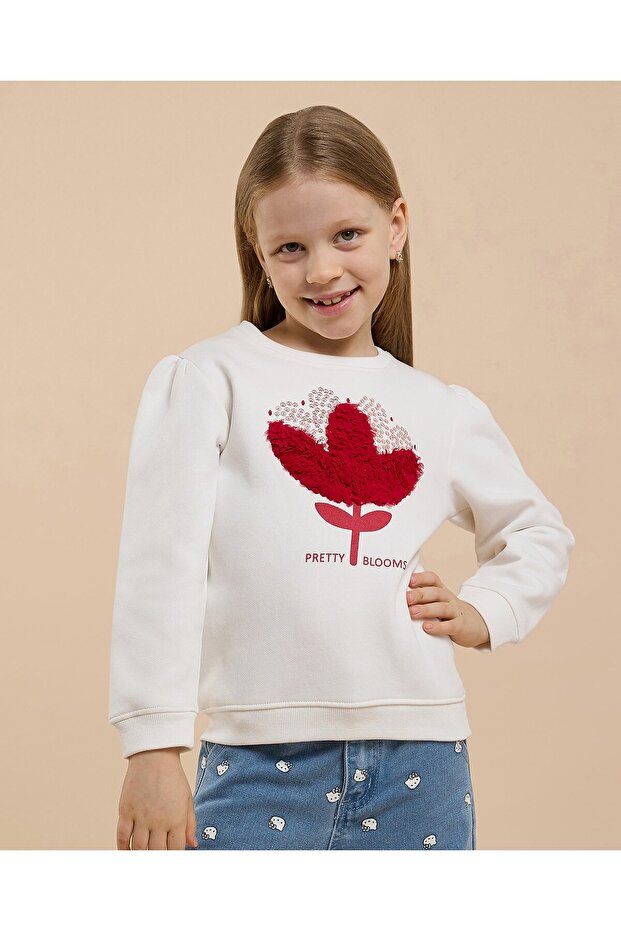 Embroidered Sweatshirt with Crew Neck and Long Sleeves