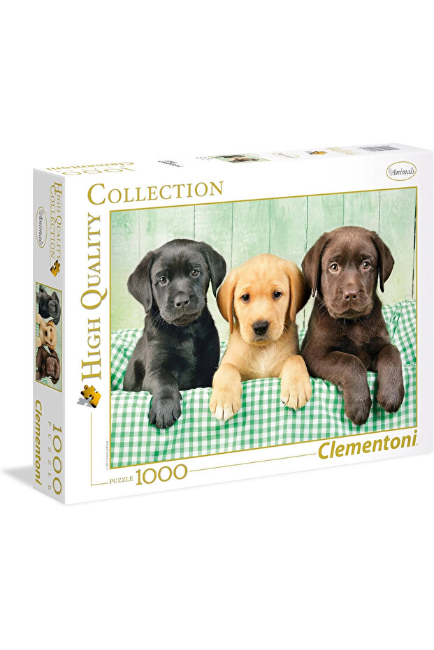 Labradors 1000 Parça Puzzle / - 1