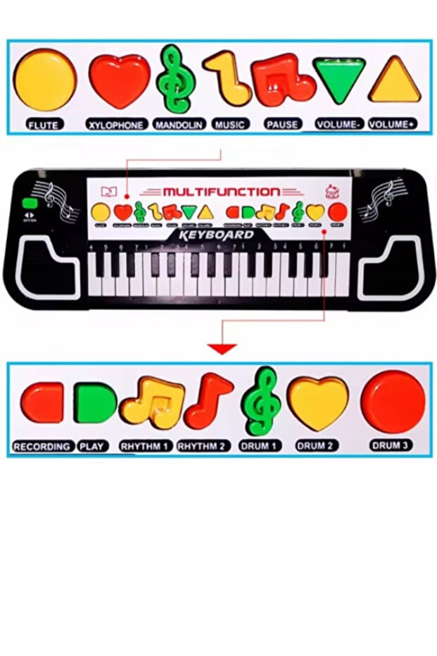 Orga electronica Multifunctionala - 1