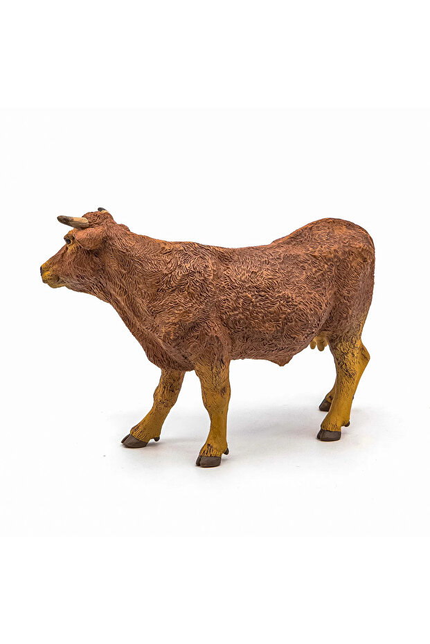 Vaca Limuzină - 7