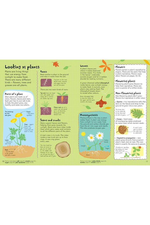 Illustrated Dictionary - 2