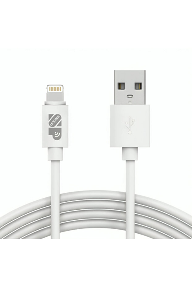 iPhone USB Charging Cable - 1
