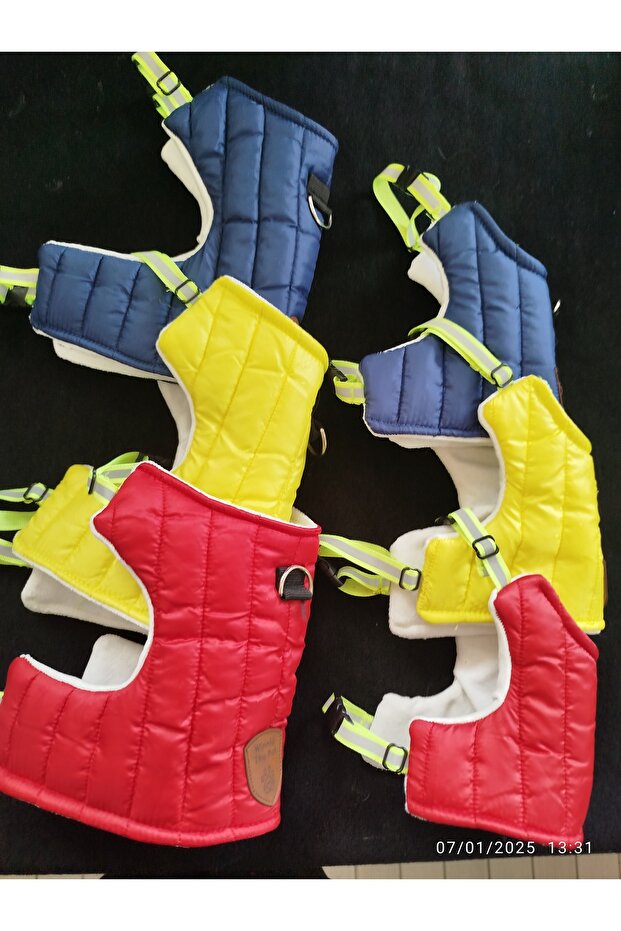 Cat & Small Breed Dog Walking Harness & Collar