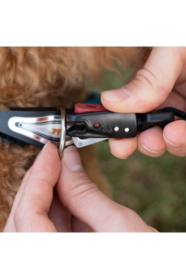 Dog Leash with Automatic HookColor: Orange, Dimension: 120cmX20mm