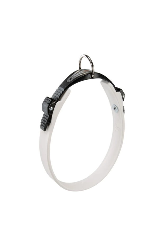 PA6511 Dog Collar Tags (Assorted), 2.3x2.5x h 3.9cm