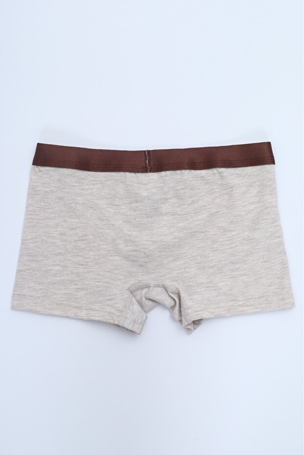 بوكسر للأولاد متعدد الأنماط مطبوع عبوة من 4pcs - 5