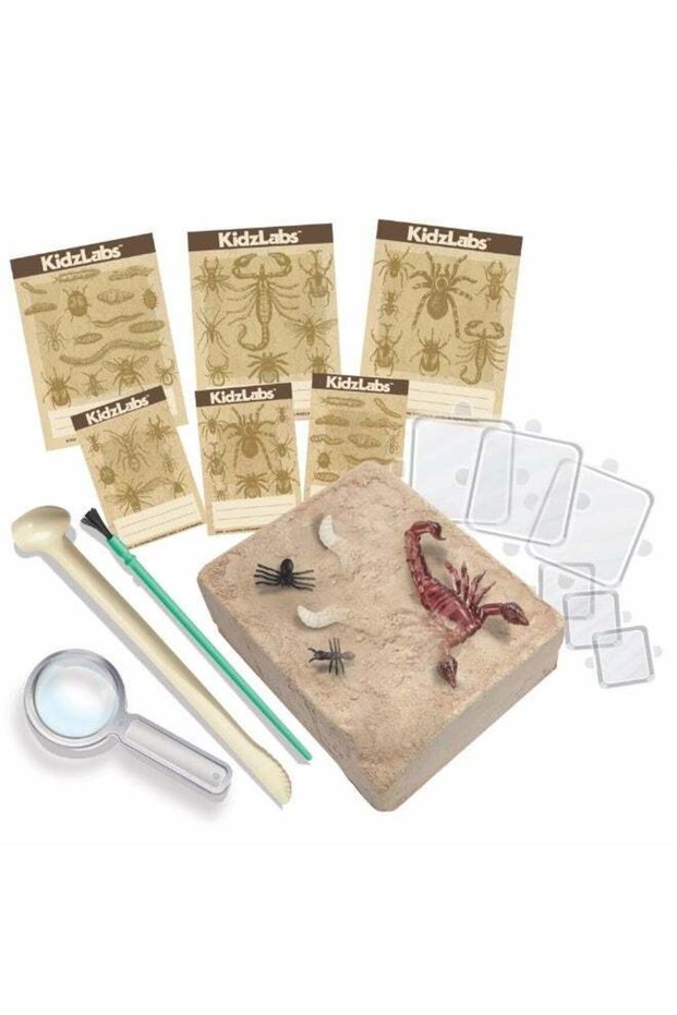 4M KidzLabs Creepy Crawly Digging Kit