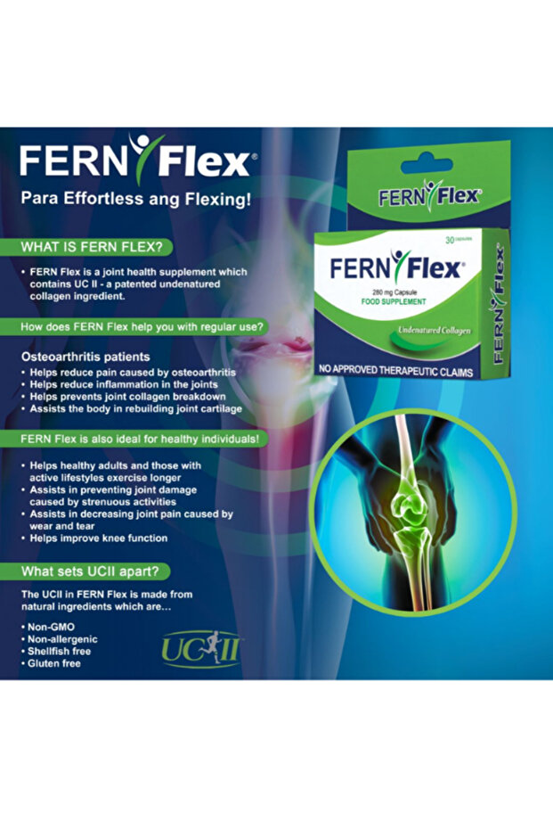 فيرن فليكس - 3