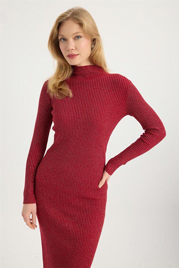 Simli Dik Yaka Elbise - 4