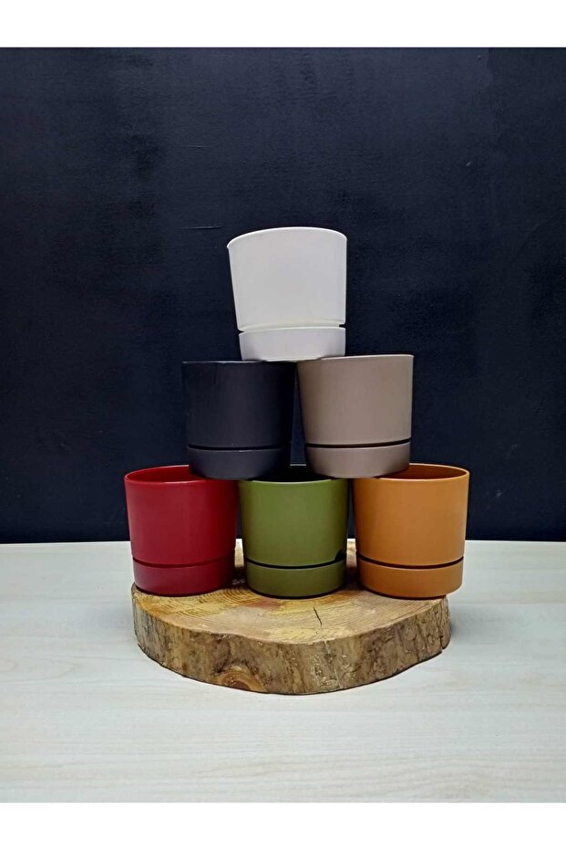 Begonya 9 Saksı - 2