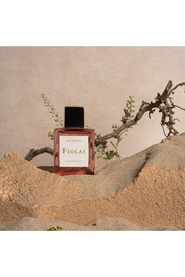 Polymnia Extrait De 50 ml Unisex Parfüm - 3