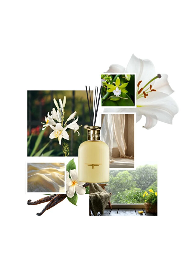 Dıffuser Chıll Out - M - 2