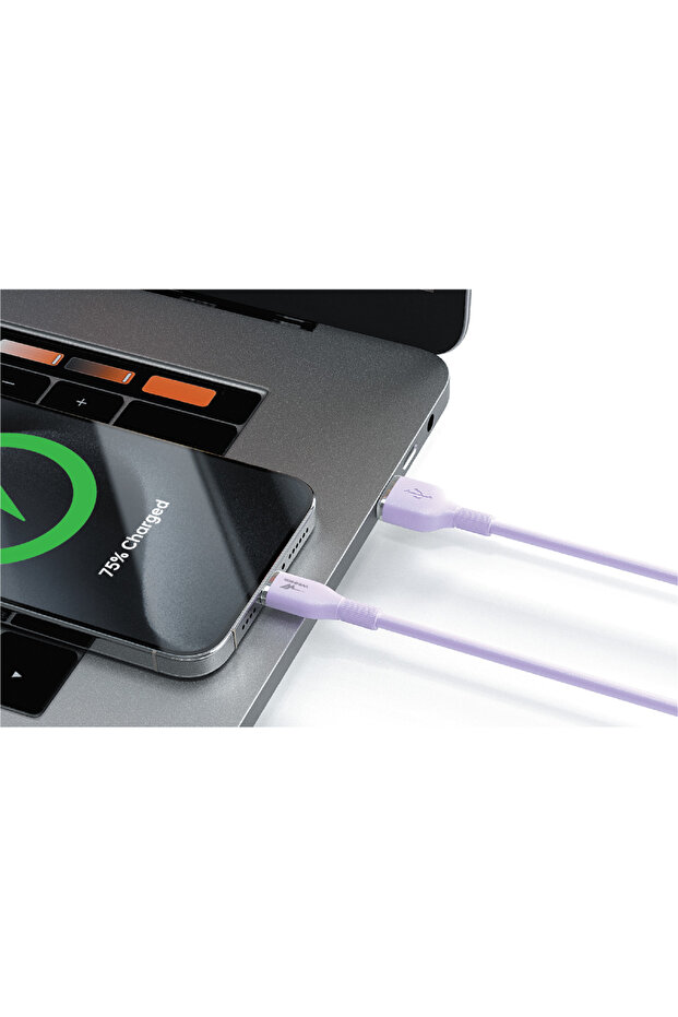 Silicone USB Charging and Data Cable - Lightning - 2