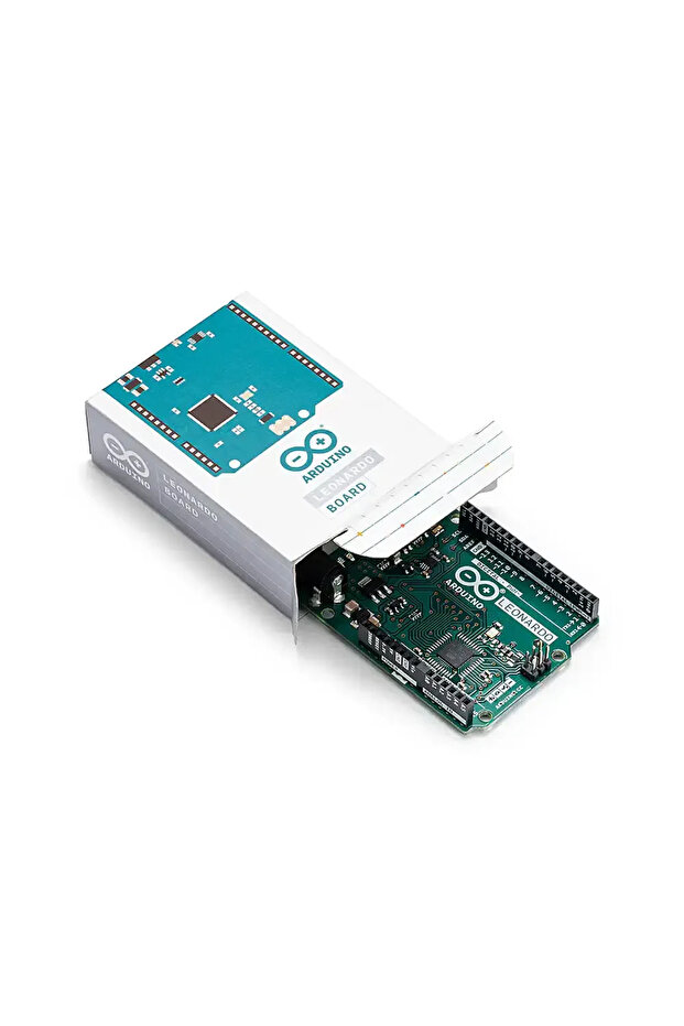 Orijinal Leonardo - 4