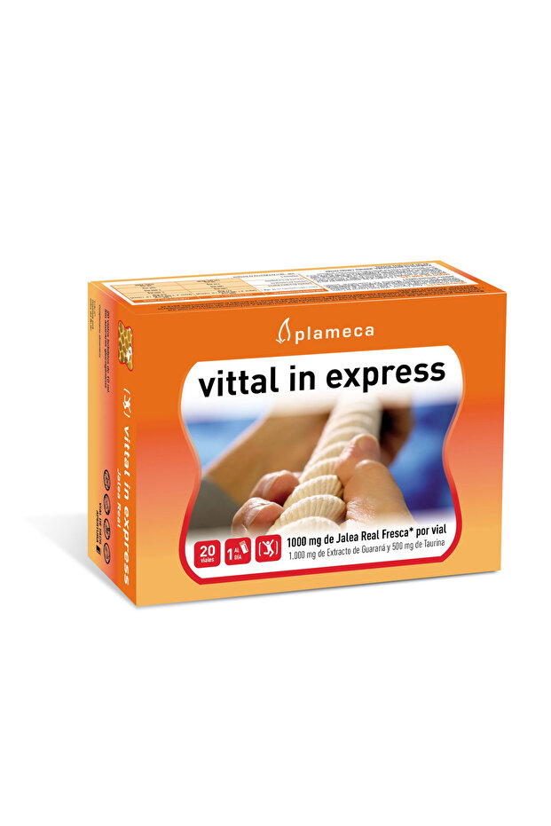 Vittal In Express - 1