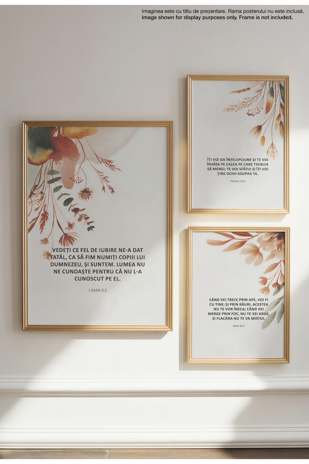 Religious Canvas Poster in Romanian Language – Unframed Digital Print on Canvas - The World Doesn't Know Us - 4