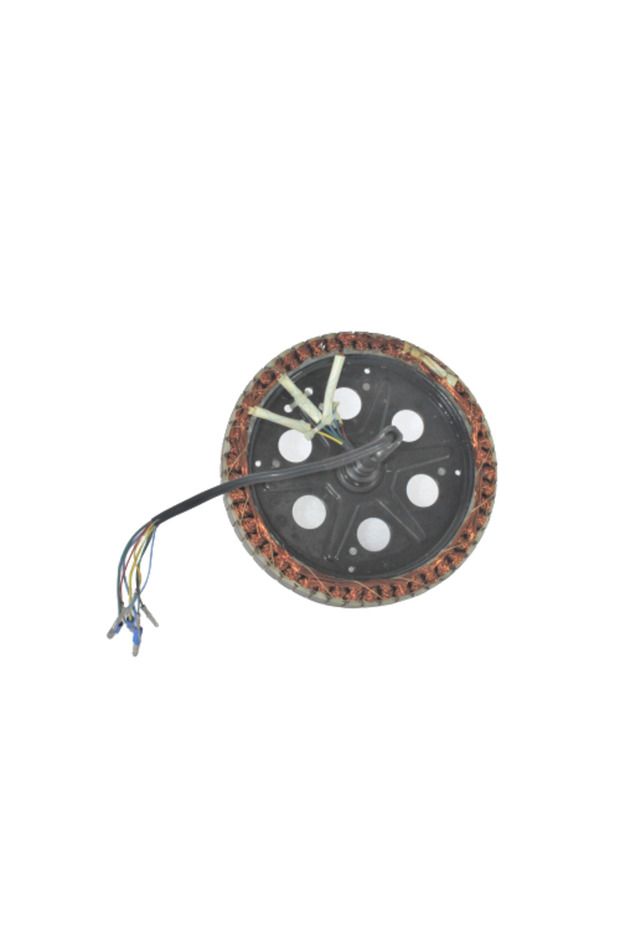 Zwd306 Motor