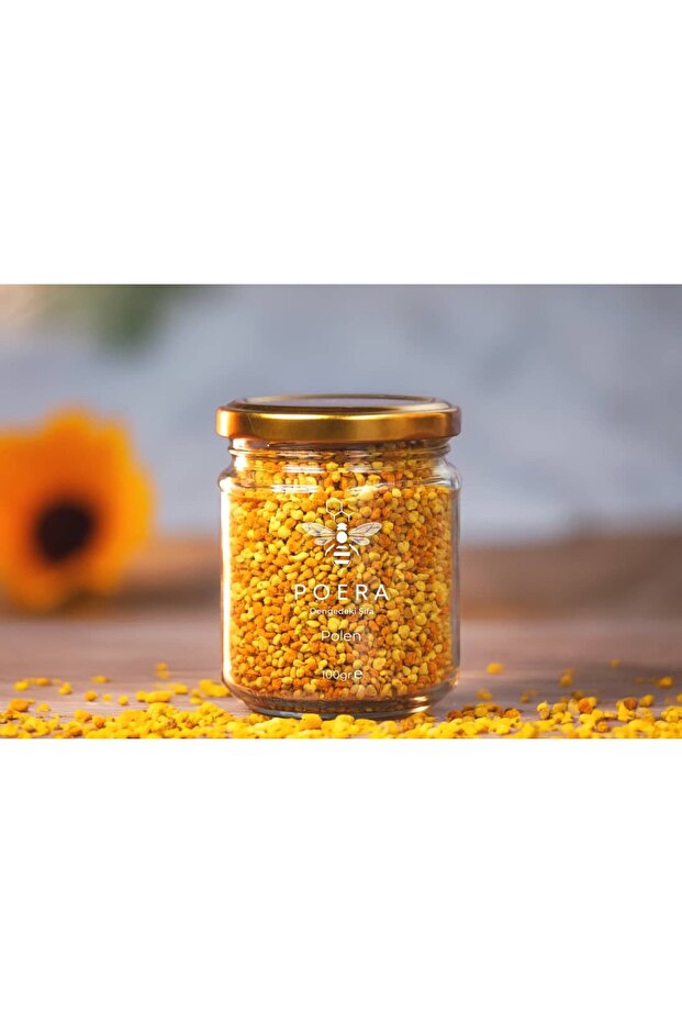 Polen 100 Gr