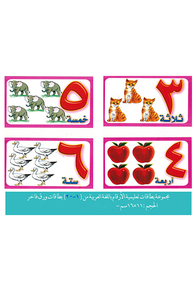 Flashcards - Arabic Numbers - 2