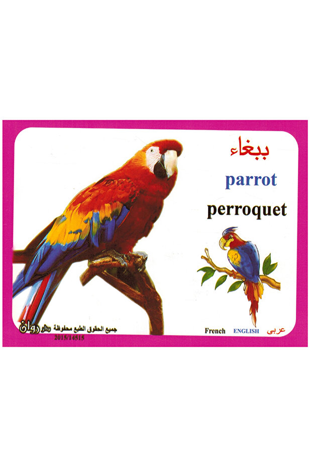 الكروت التعليمية - الطيور - 4