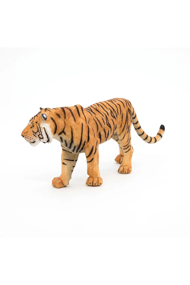 Ειδώλιο Τίγρης - 5