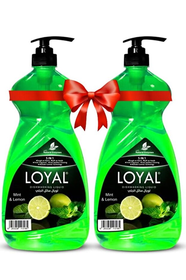 5 in 1 Dishwashing Liquid - Mint & Lemon 2x1.5L