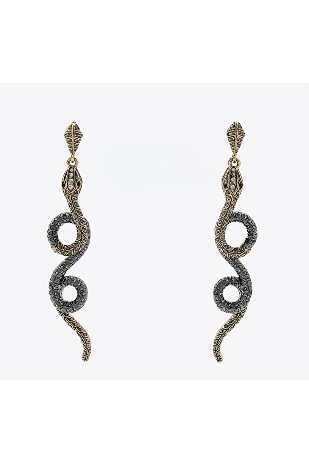 Çelik Marka Yılan Küpe - 1