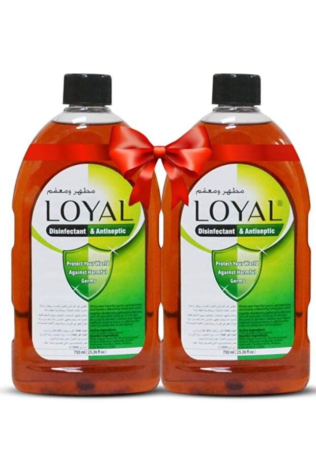 Antiseptic Disinfectant Medical Grade Liquid Solution Twin Pack (2x750ml)
