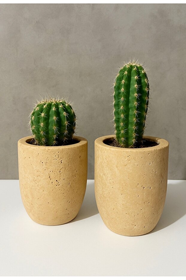 Travarten saksı - 3