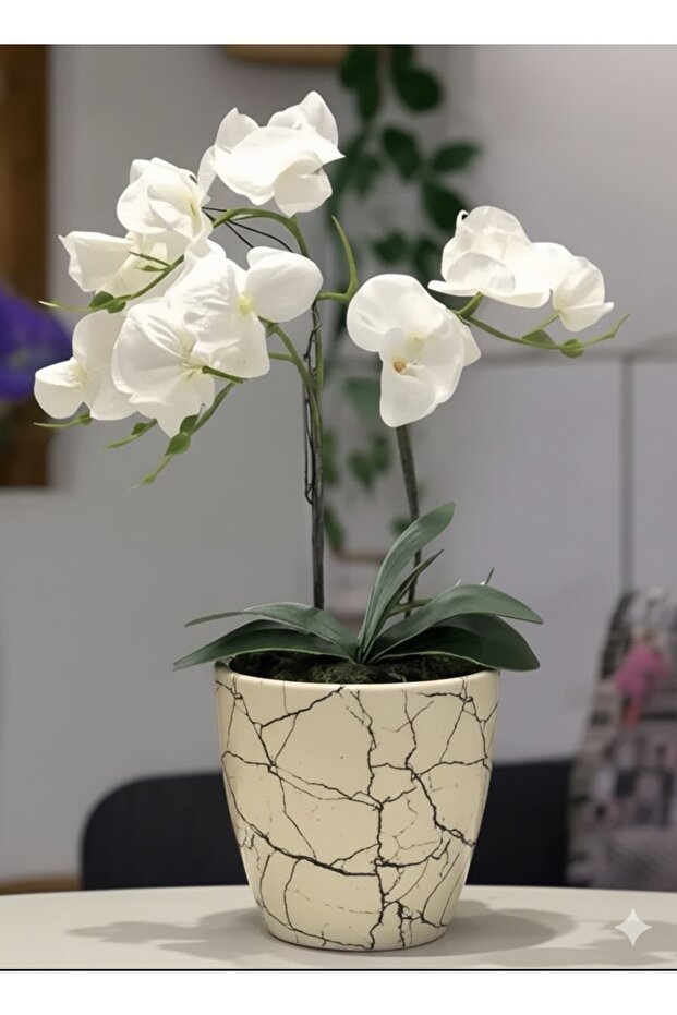 Dekoratif orkide saksısı - 1